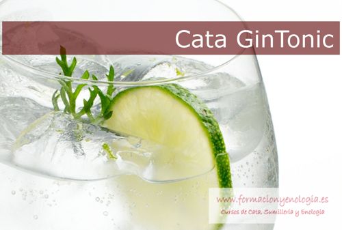 Cata GinTonic