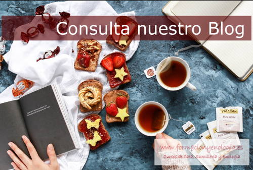 Blog articulos fye | Formacion y enologia