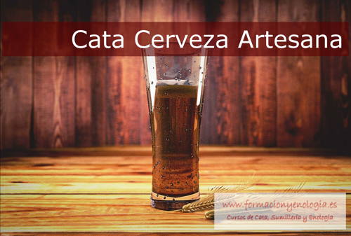 Cata cerveza artesana