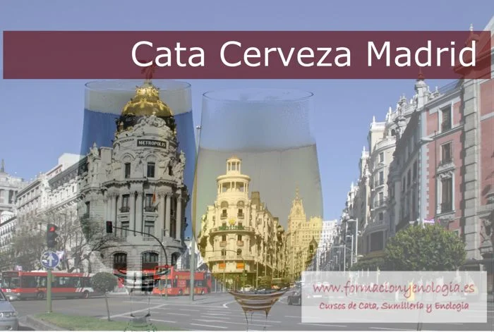 Cata Cerveza Madrid Domicilio
