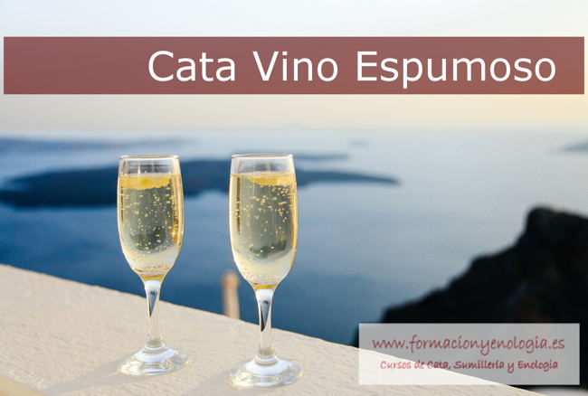 como catar vinos espumosos