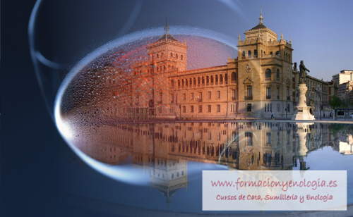 cata vino vallaolid