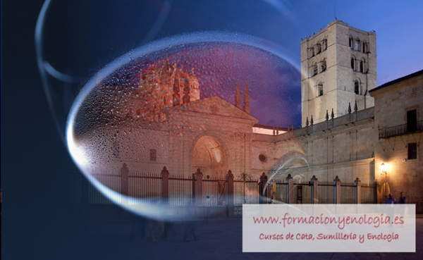 cata vino Zamora