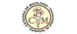 Formacion y Enologia y Turismo cerrato