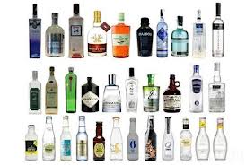 Curso Gin-Tonic | Formacion y Enologia