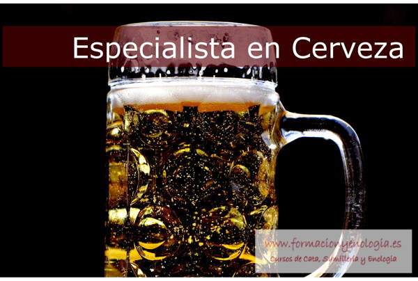 Cursos A Domicilio | formacionyenologia