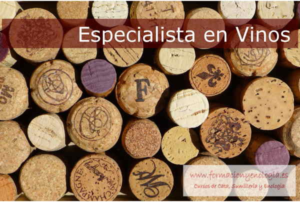 Cursos A Domicilio | formacionyenologia