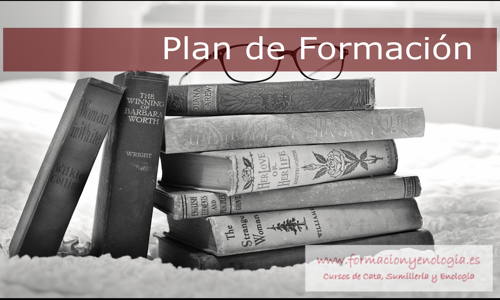 formacion y planes de formacóin