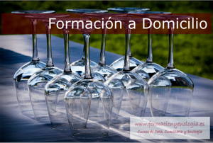 Cursos A Domicilio | formacionyenologia